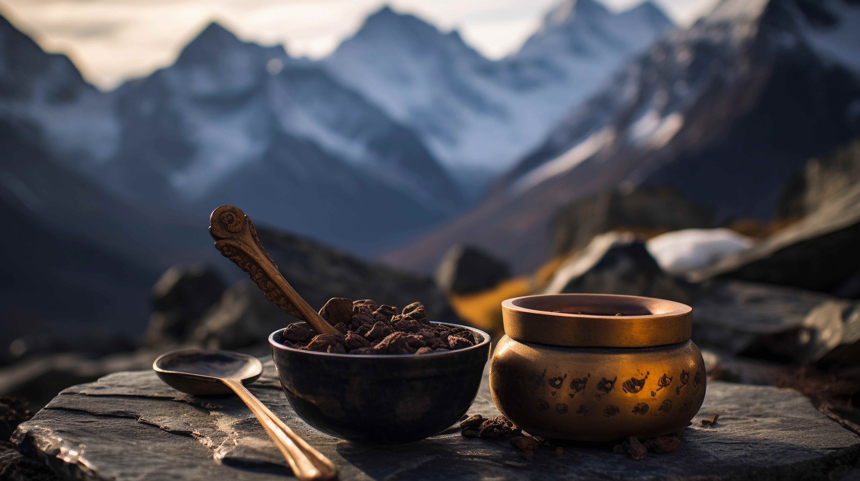 What does Ayurveda say about Shilajit?